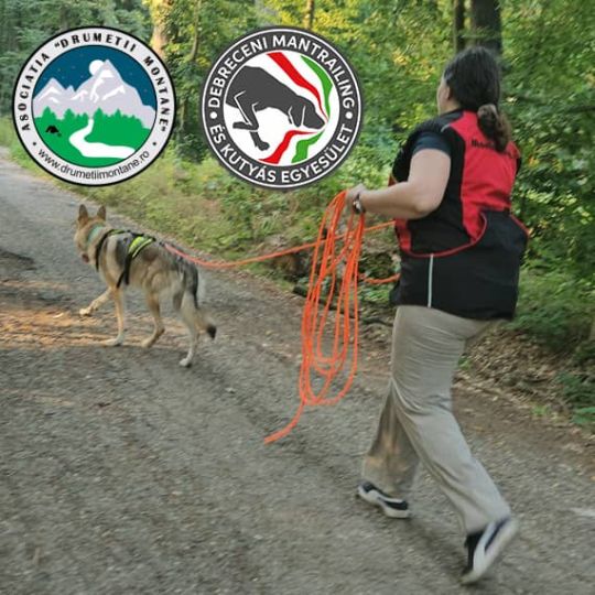 Mantrailing - Misiunea Prietenilor Canini un demers dedicat iubitorilor de caini si sport